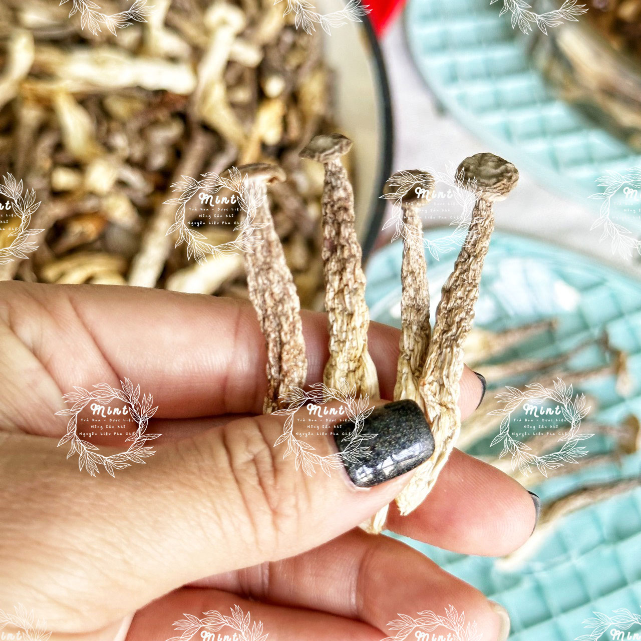Nấm Lộc Nhung Khô (Nấm Nhung Hươu - Nấm Nhung Gạc) Túi 100Gr