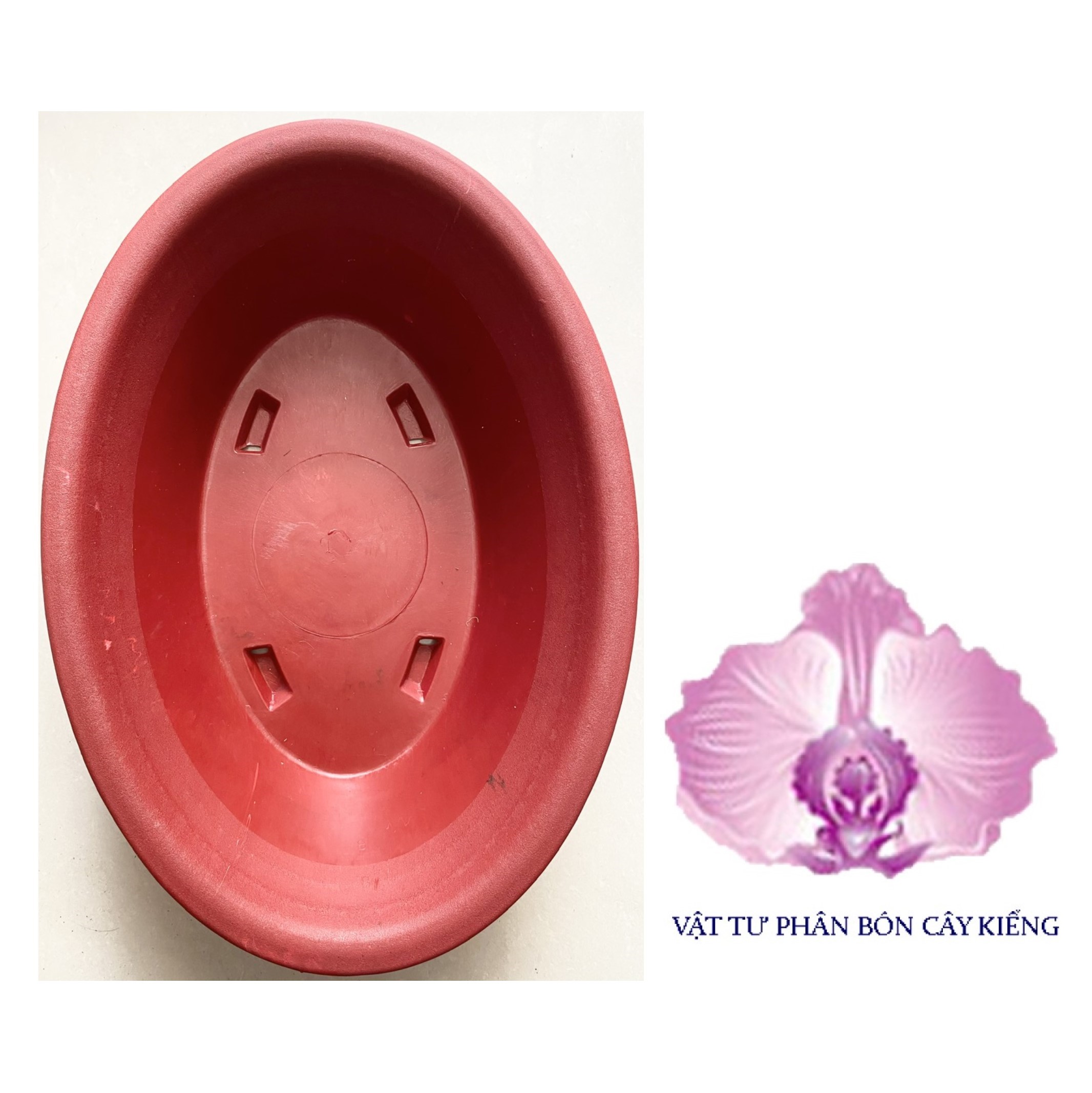 Chậu Oval Bonsai AD 39x27x12cm - #023D#