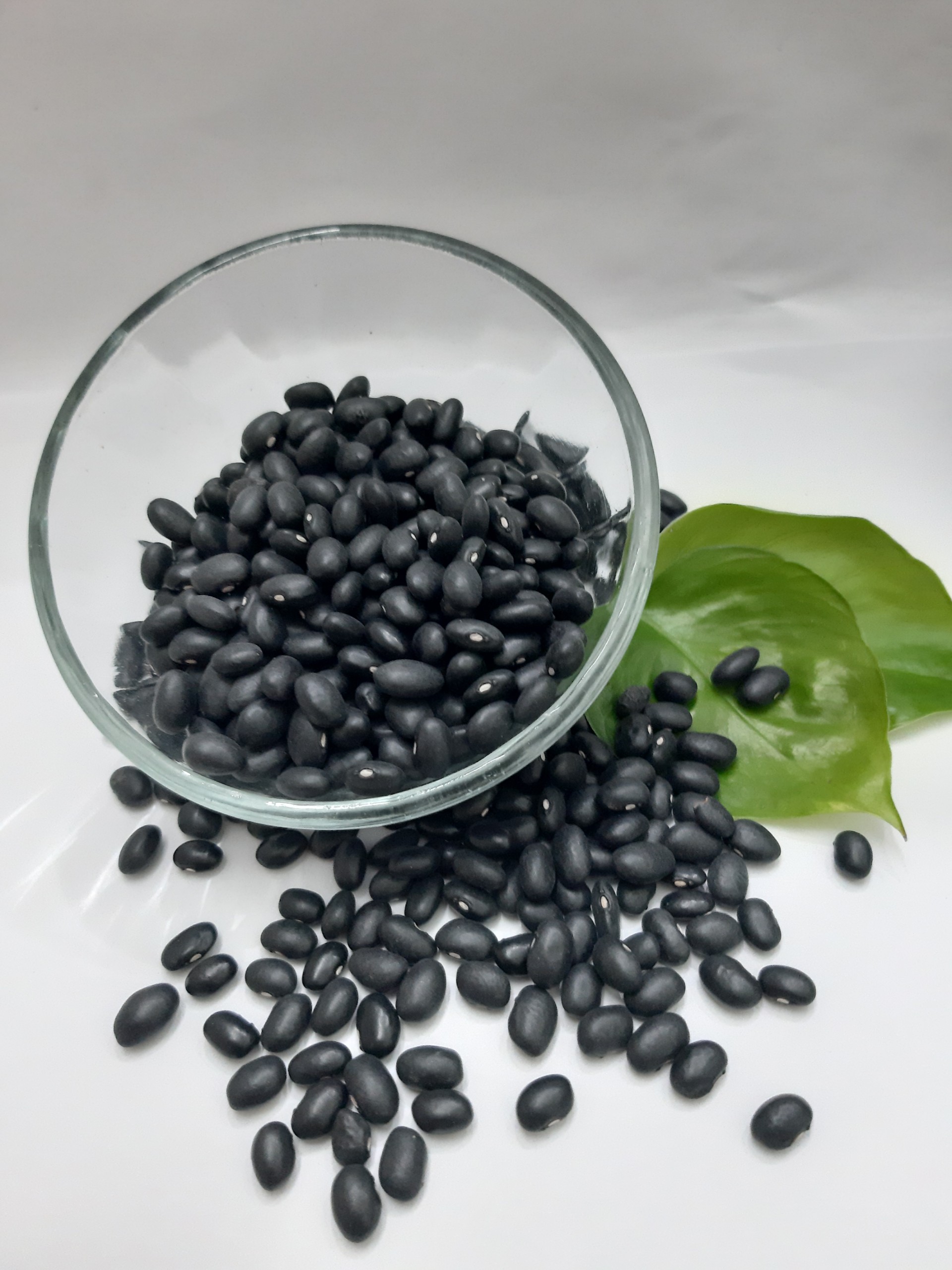 ĐẬU ĐEN ĐÀ LẠT PHÚ MINH TÂM 250G