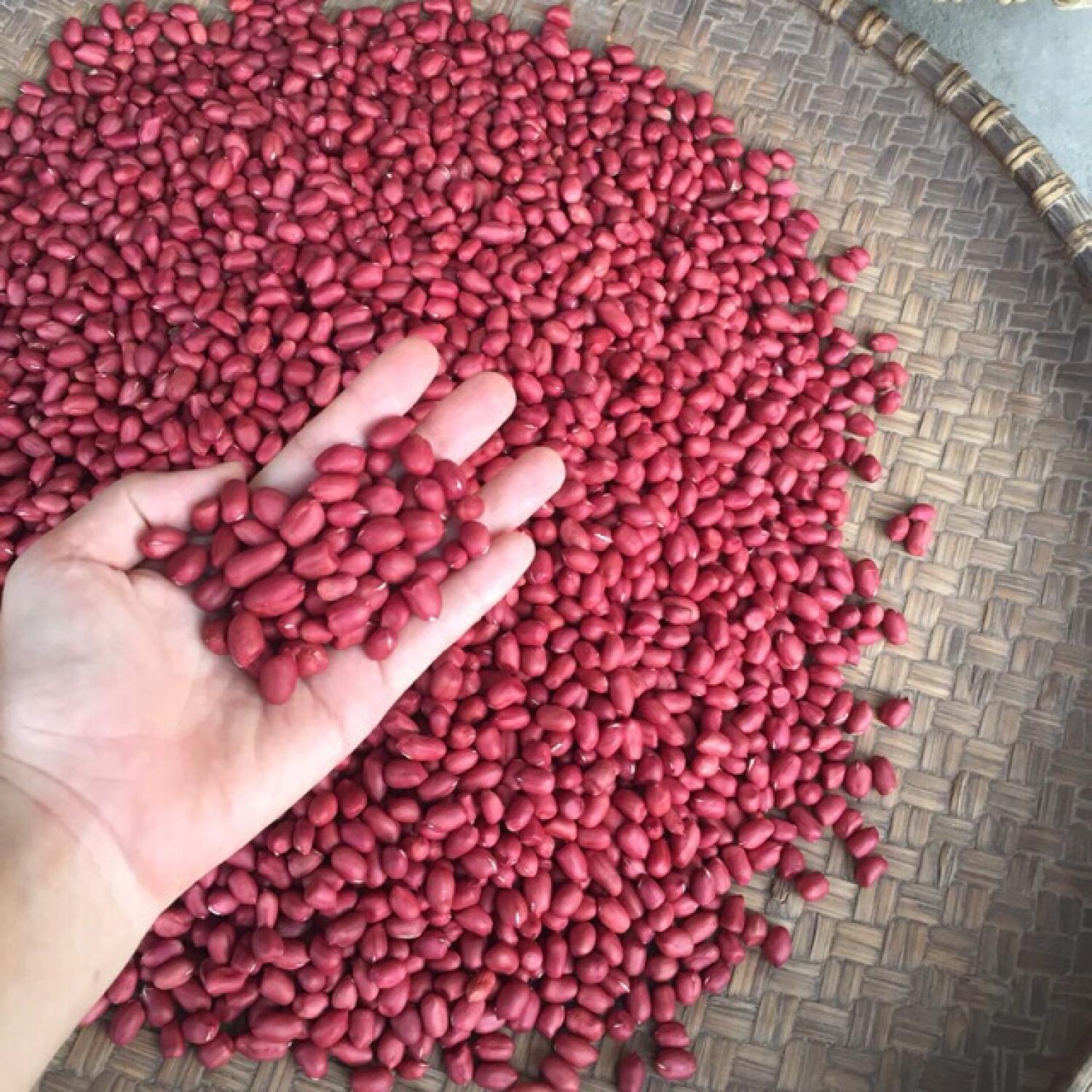 ĐẬU PHỘNG ĐỎ (LẠC ĐỎ) NHÂN (miền bắc) 500g