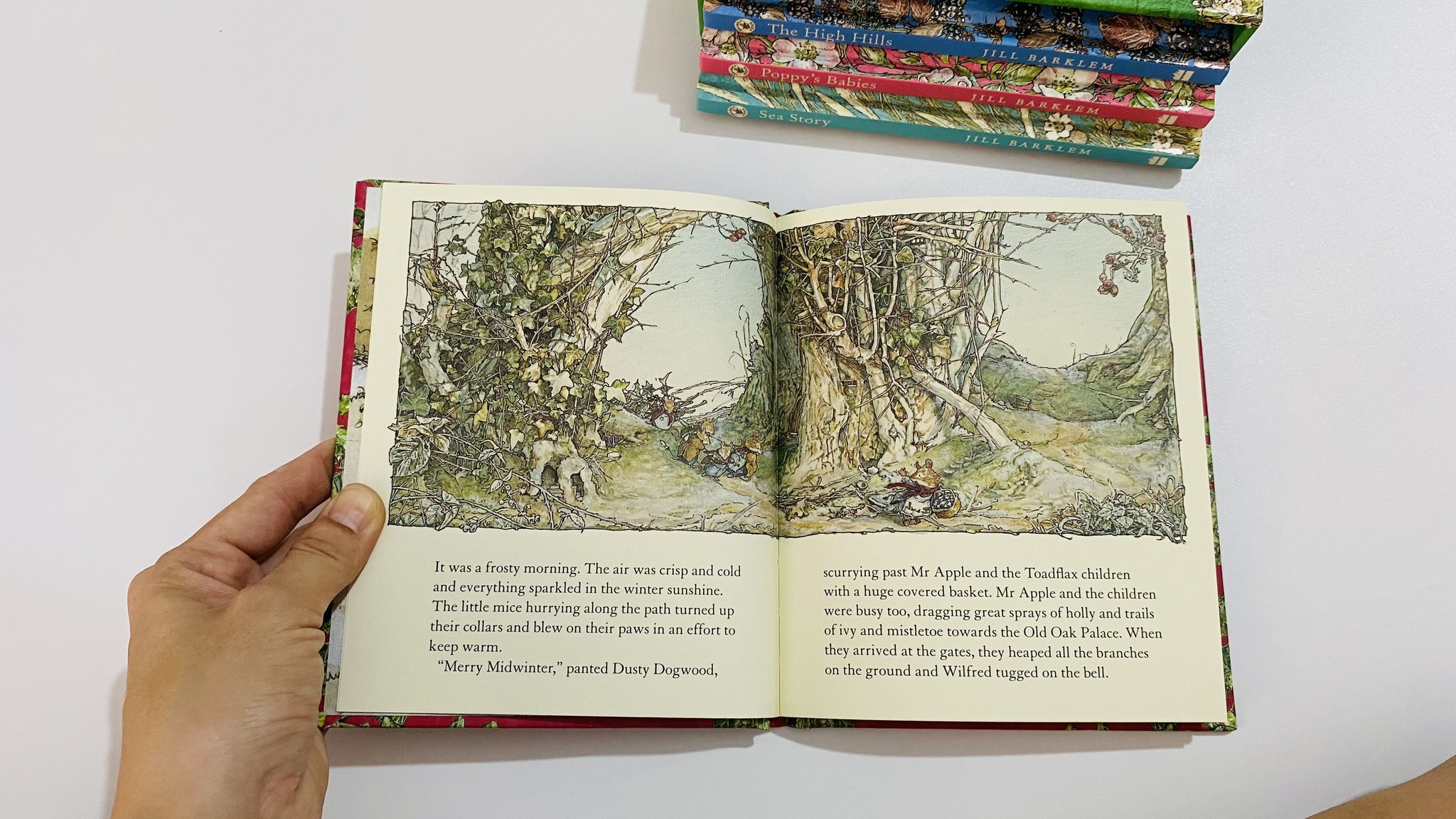Adventures in Brambly Hedge