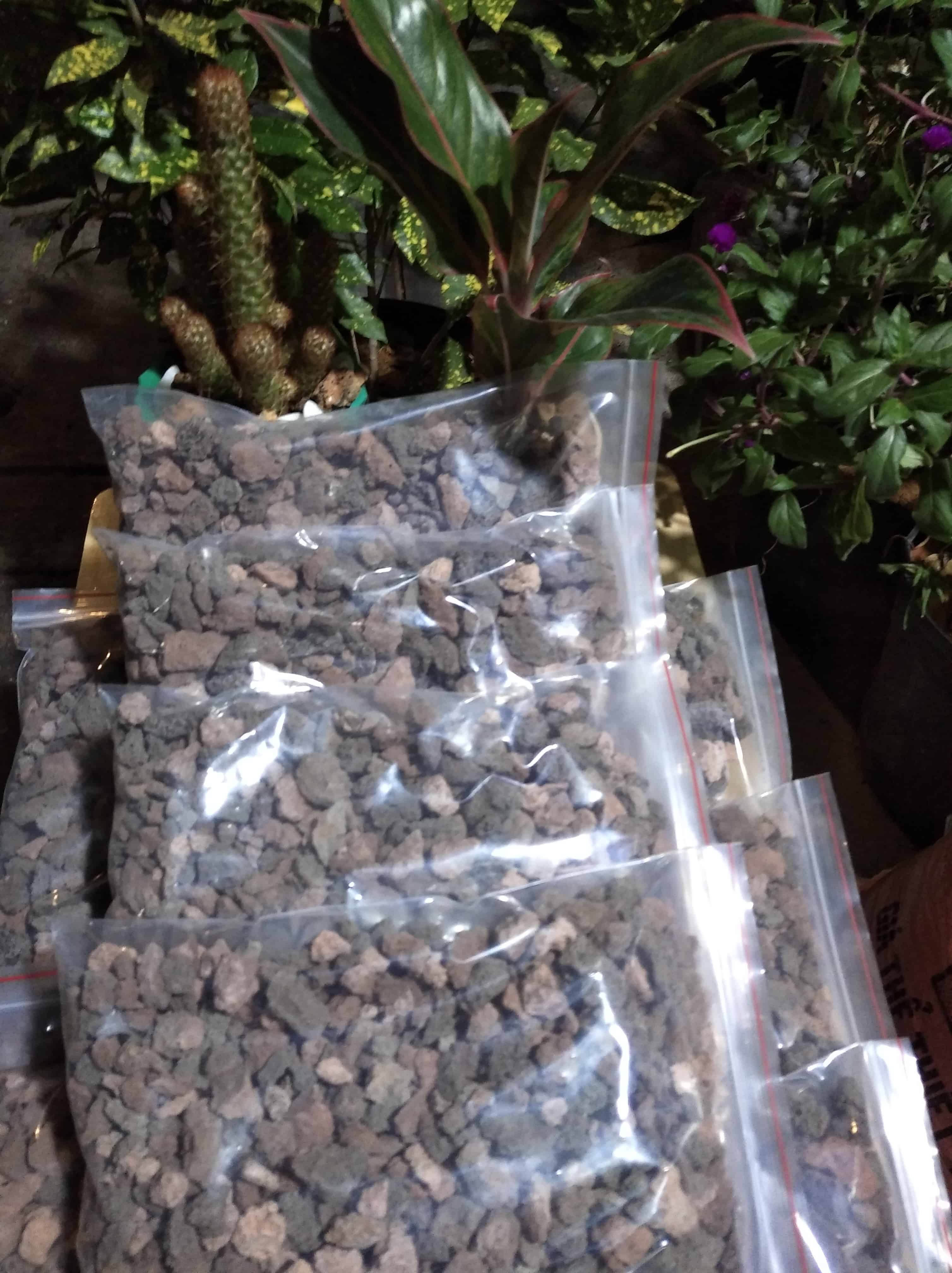 Đá núi lửa
