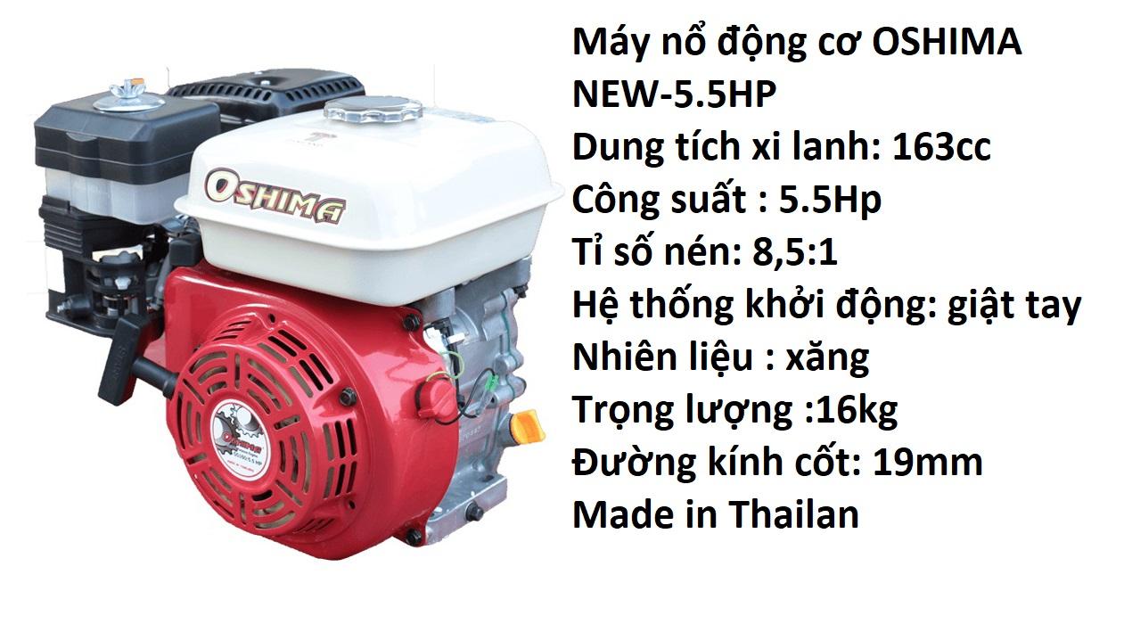 Máy Nổ Động Cơ Oshima 5.5 HP OS 160