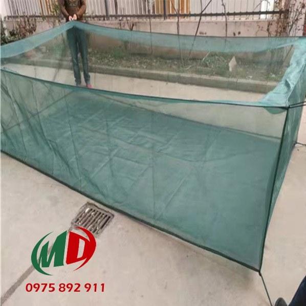 tráng lồng nuôi ếch 6m vuông nuôi được 500 con ếch