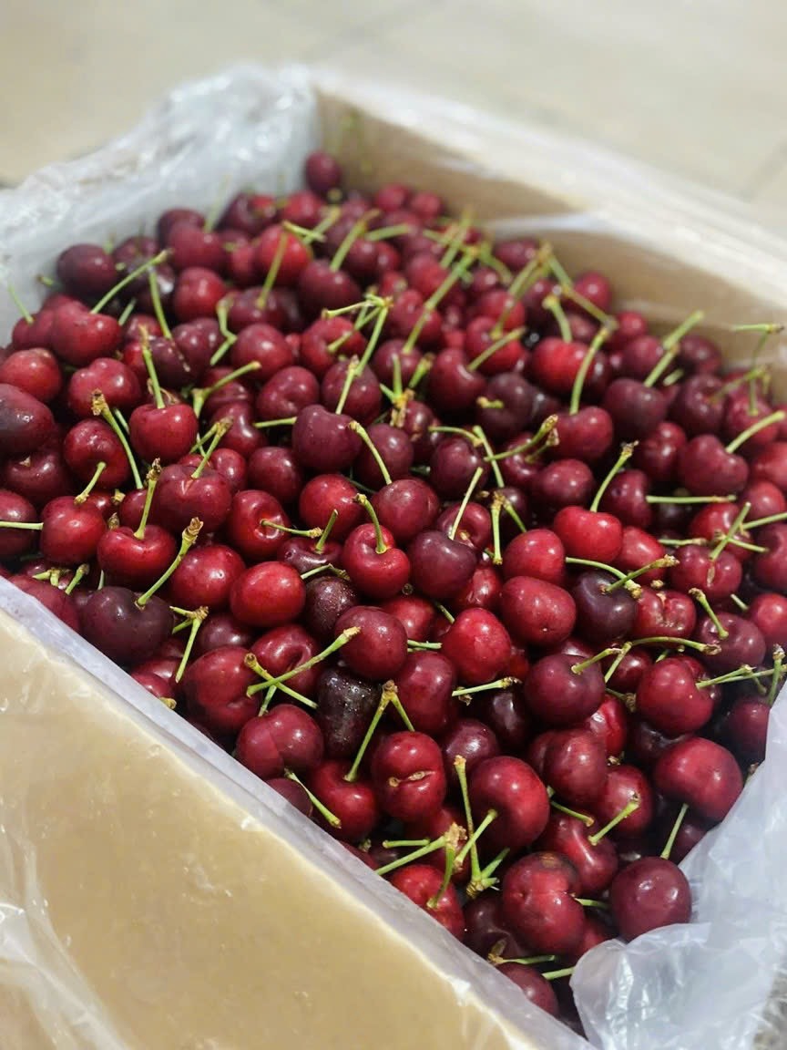 [Chỉ Giao HCM] Cherry Mỹ Size 9.5 - 250g