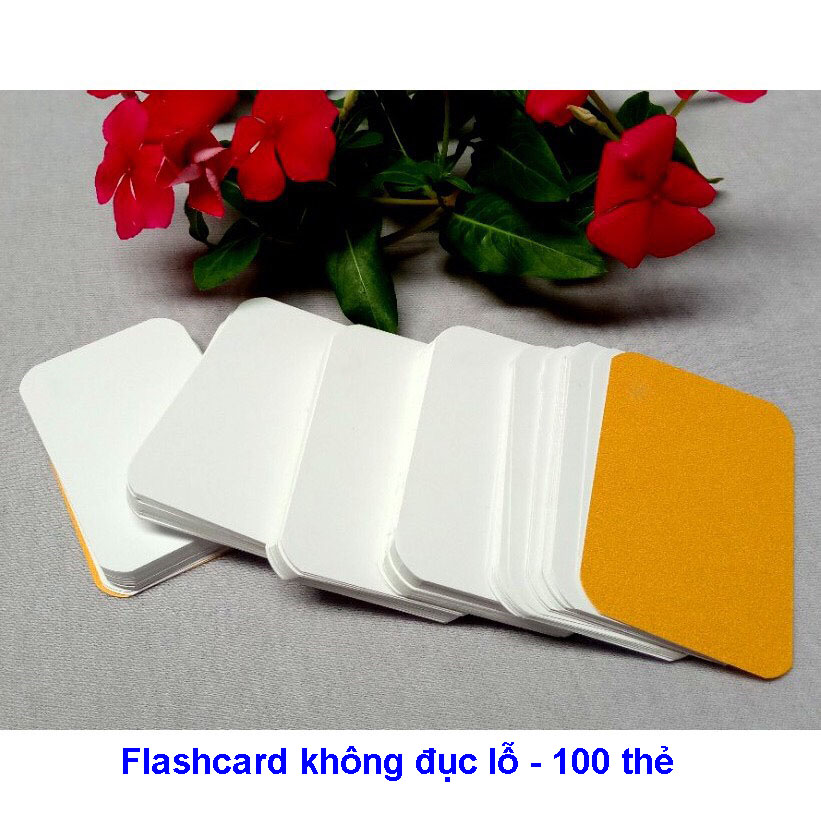 Flashcard không đục lỗ size nào cũng có