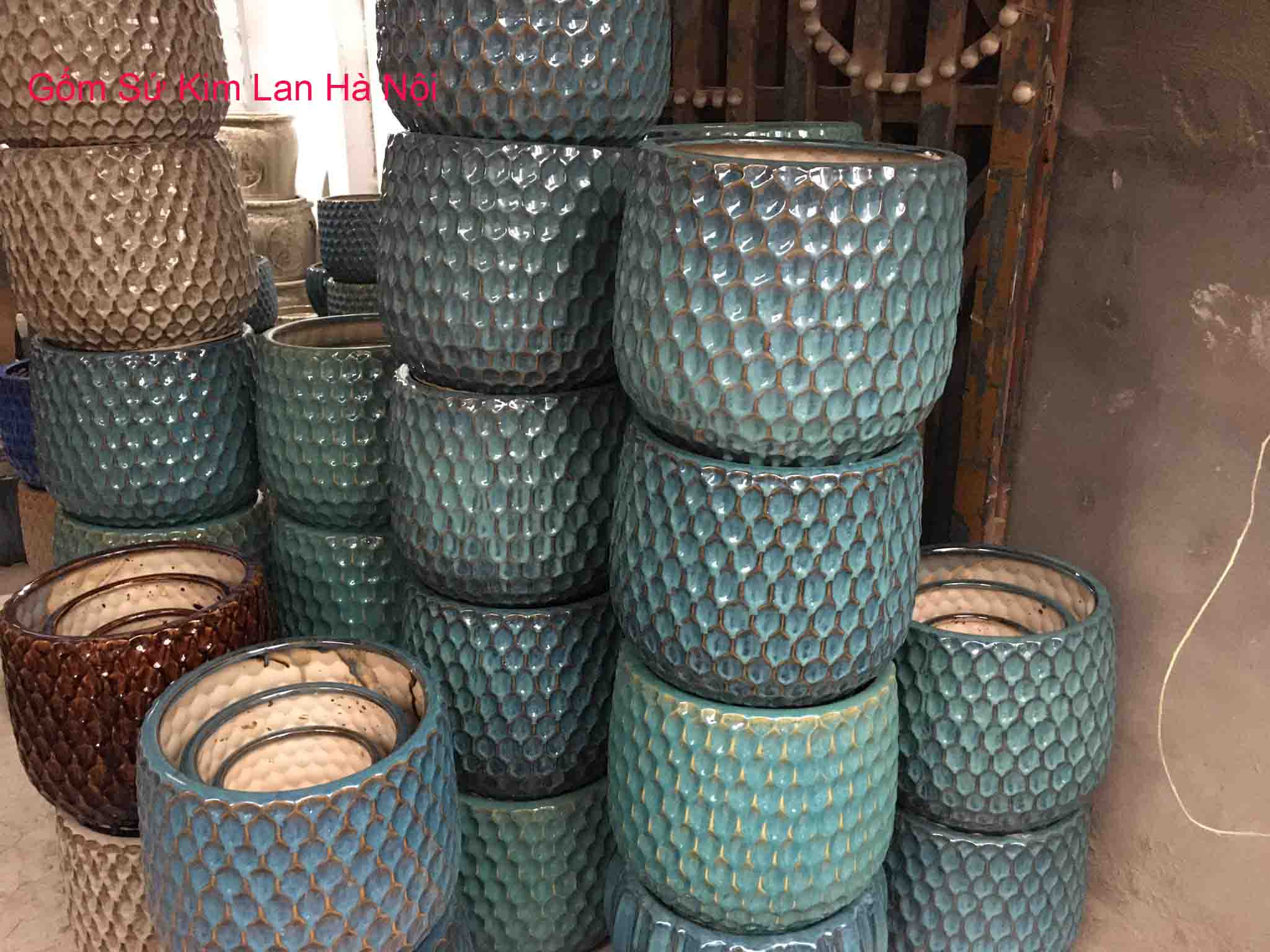 orchid flower pots