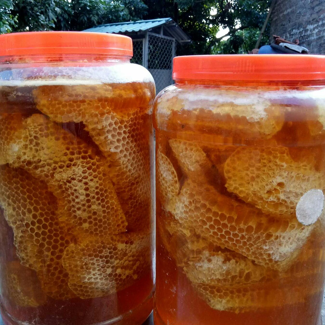 Mật ong rừng nguyên chất