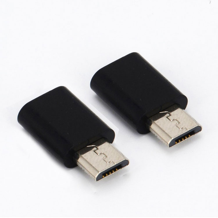 Combo 2 đầu chuyển đổi từ Type C sang Micro USB