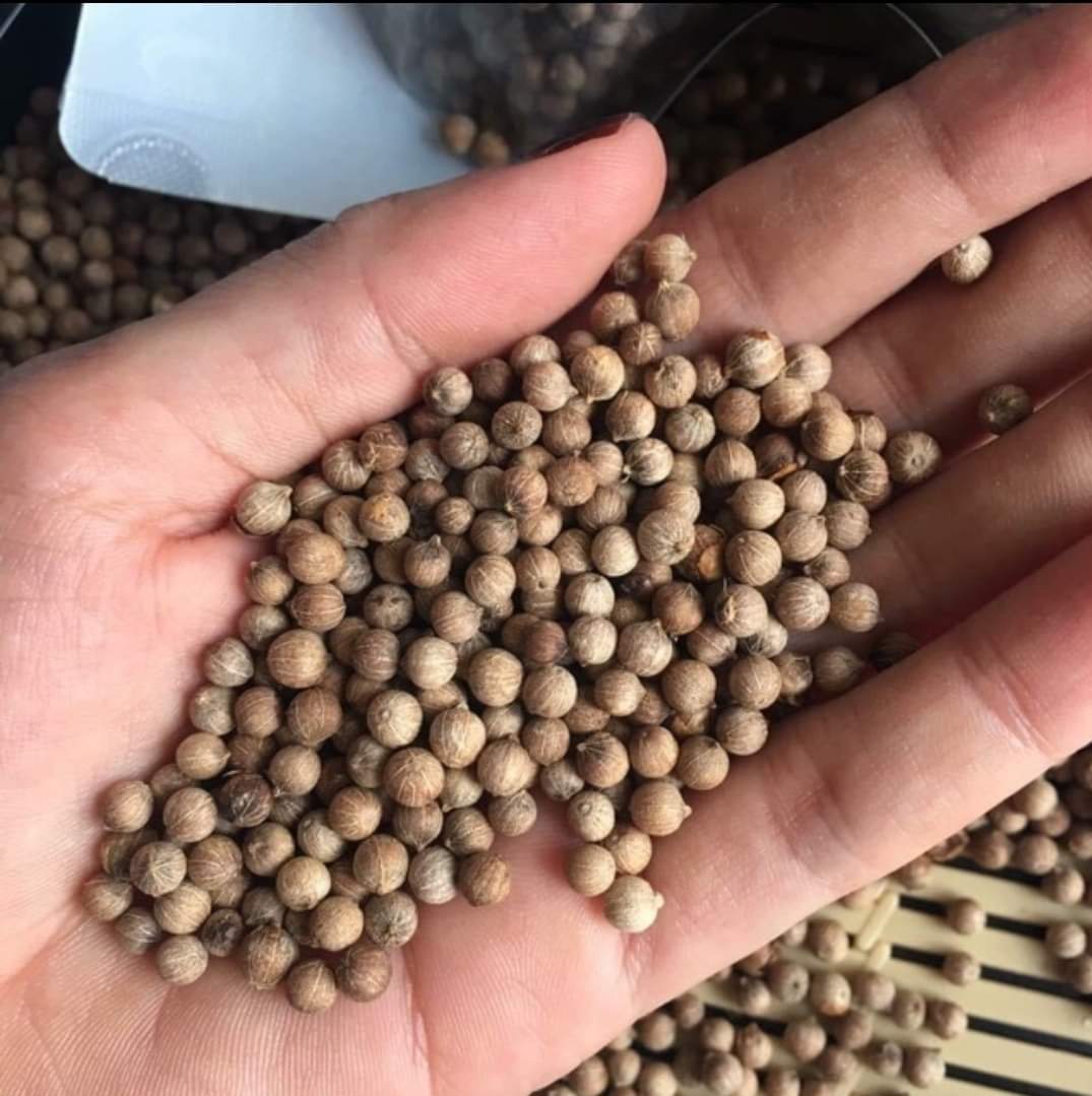 500g tiêu sọ trắng Phú Quốc
