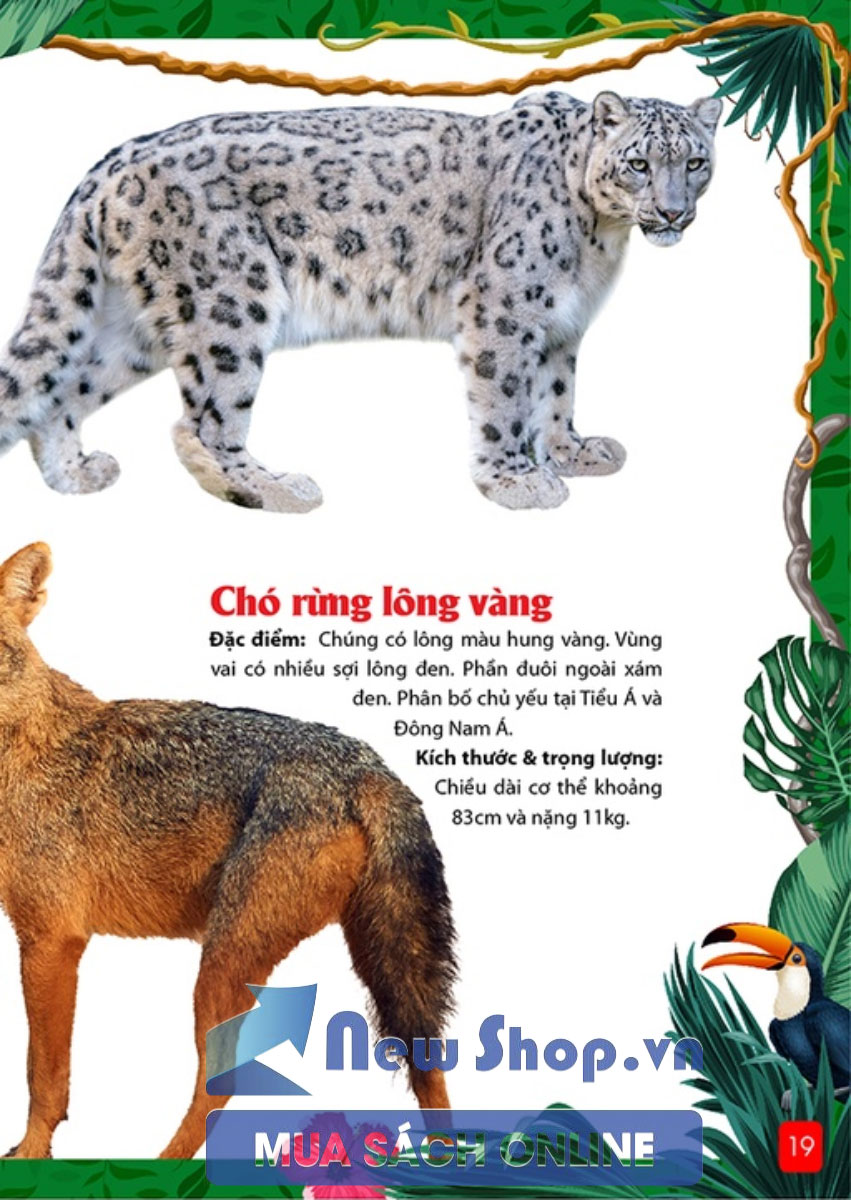 Sách - Khám Phá Động Vật 5 Châu - Châu Á - Newshop