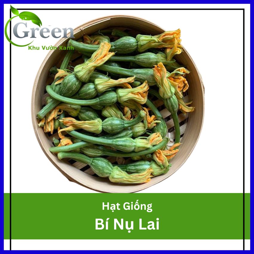 Hạt Giống Bí Nụ Lai F1 GITA (Gói 5 Hạt)