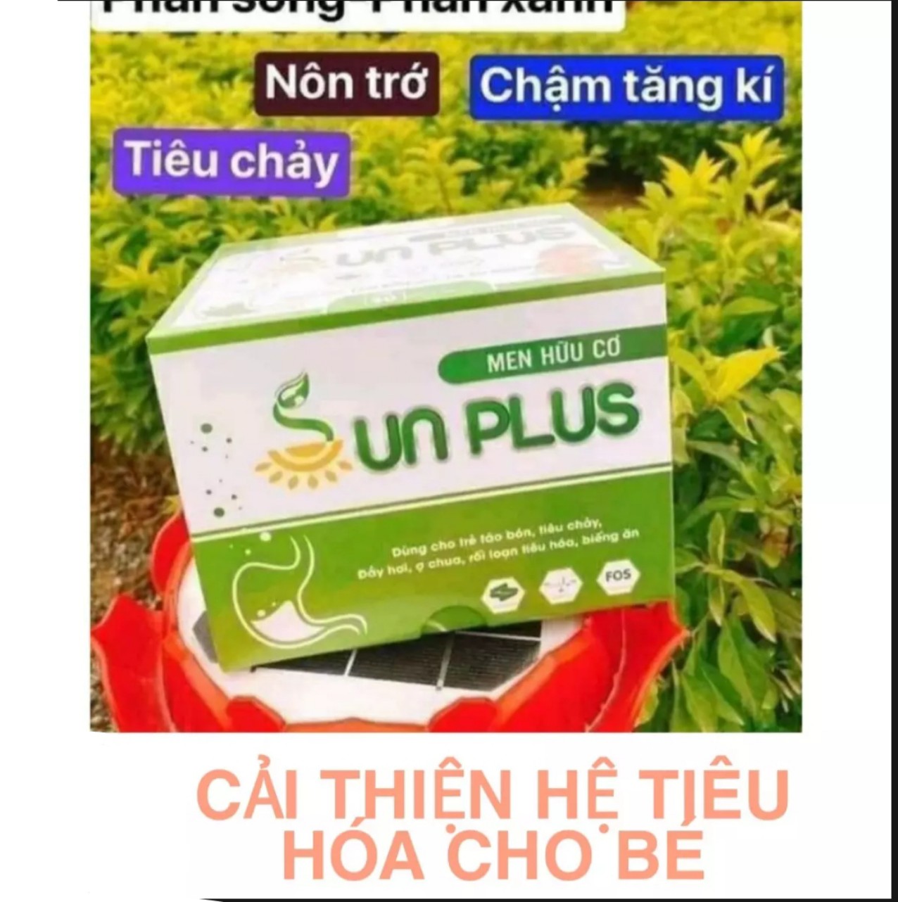 [Hoàn tiền 6%] Men hữu cơ Sunplus (men sống hữu cơ Sun plus)