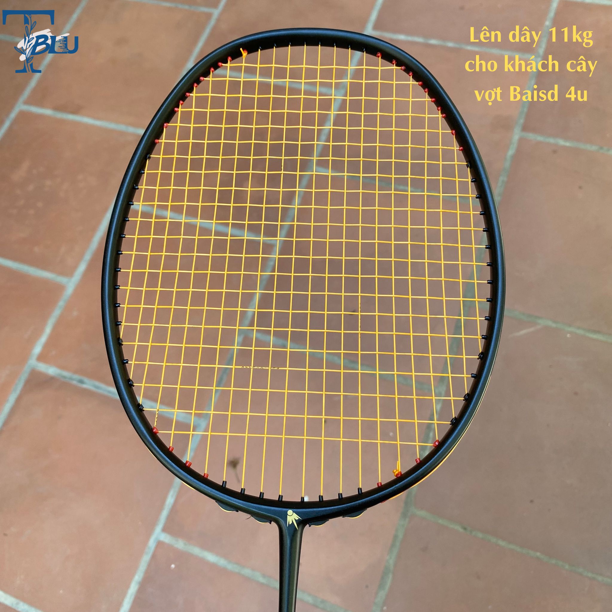 Dây cước căng lưới vợt cầu lông ALPHA GP3 ( màu ngẫu nhiên)