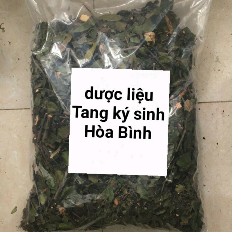 [Shop Mới] Tang ký sinh, Tầm gửi ( cây khế, cây bưởi )
