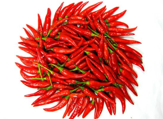 [Siêu thị WinMart] - Ớt cay gói 50g