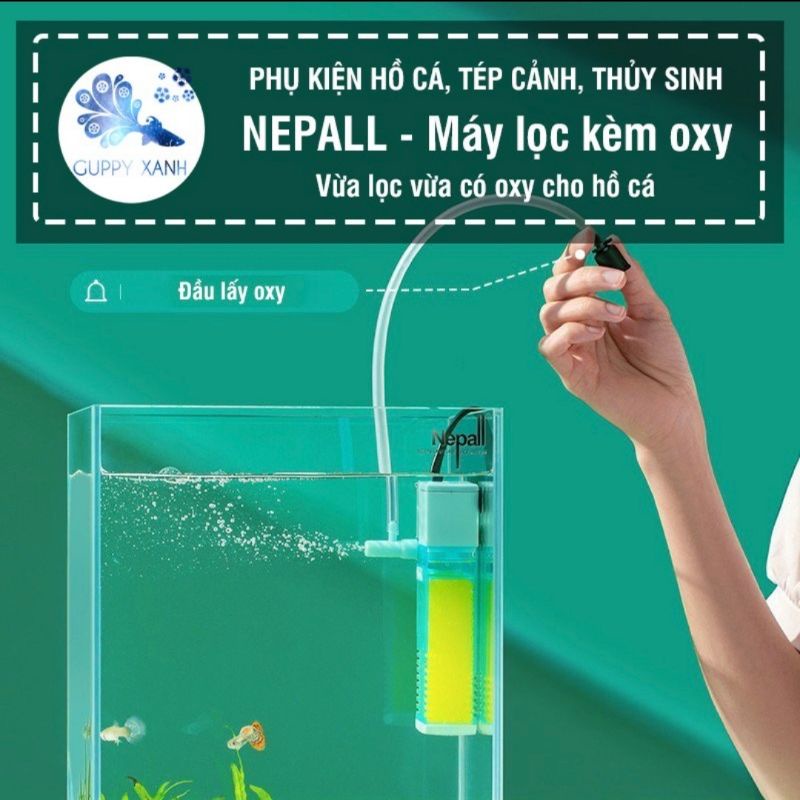 Lọc vách kèm oxy nepall cho hồ cá , bể thủy sinh mini