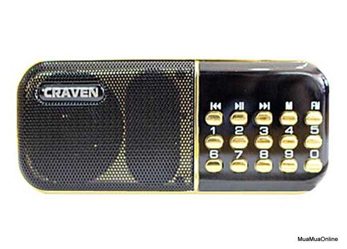 Loa thẻ nhớ usb đài fm craven cr25a