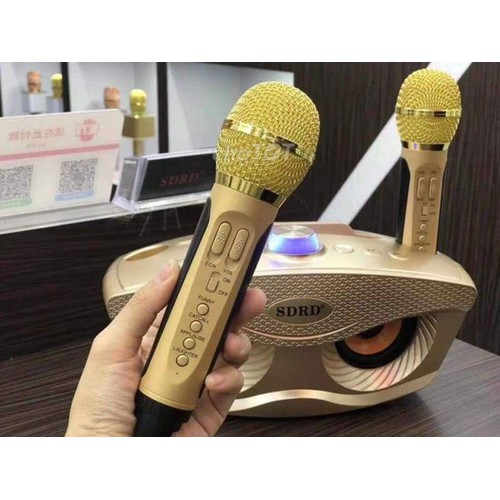 Loa bluetooth karaoke kèm 2 míc sdrd-306/sdrd 306 plus công suất 30w