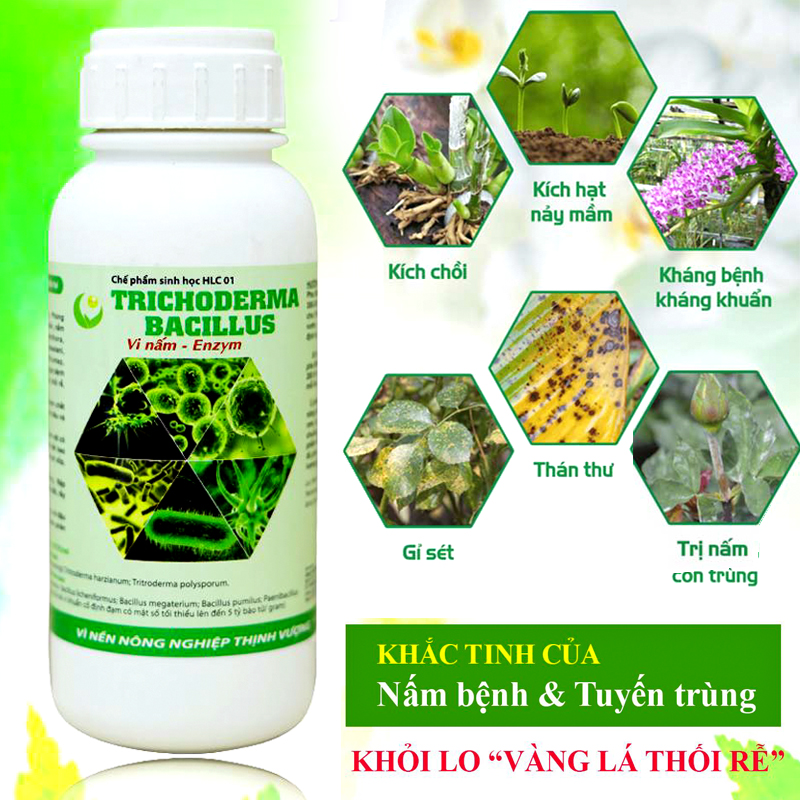 [HCM]Chế phẩm sinh học TRICHODERMA BACILLUS tiêu diệt các loại nấm hại 500ml-76112