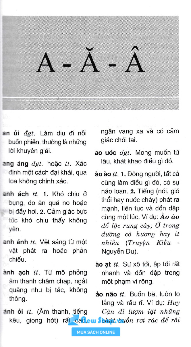 Sách - Từ Điển Từ Láy Tiếng Việt (Dành Cho Học Sinh) - Newshop