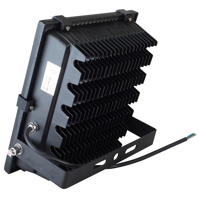 Đèn led chiếu pha 50W Rạng Đông