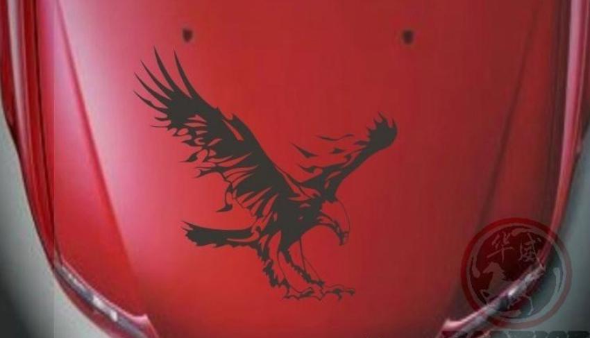 Decal hình Đại Bàng dán xe ( Đen )