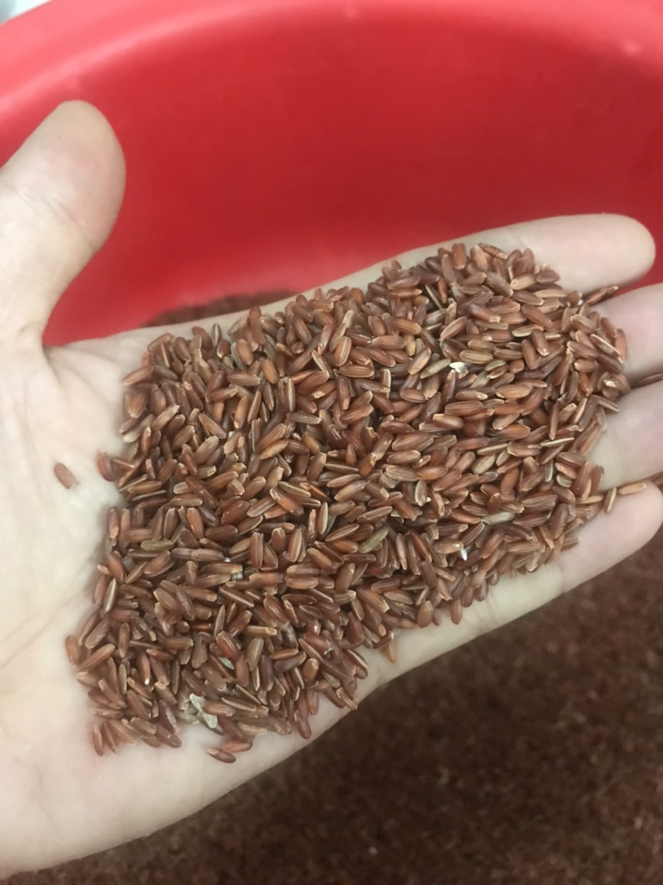 gạo lứt gà - 1kg gạo lút gà