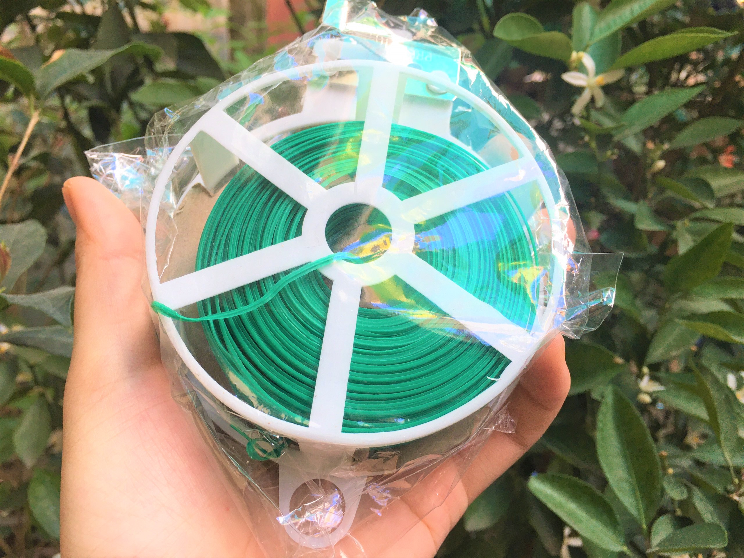 100 mét dây cuộn cố định lan và cây cảnh