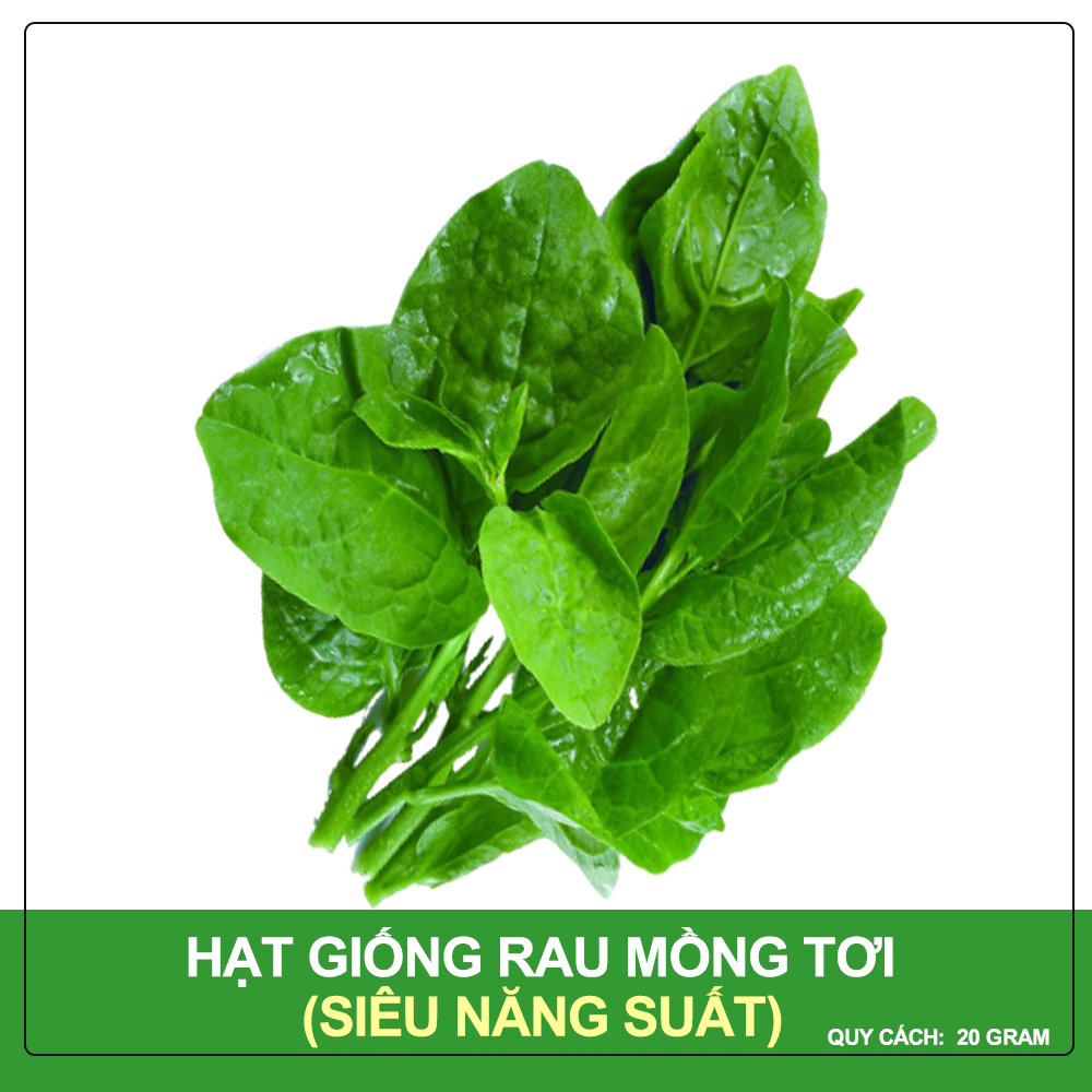 Hạt giống rau mồng tơi phú nông gói 20 gram