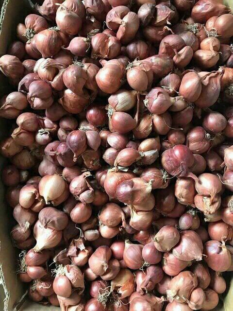 1Kg Hành Ta Phi Khô Thơm Ngon Hàng Mới Nhất