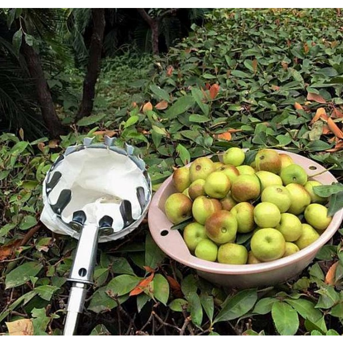Dụng cụ hái trái cây, đầu vợt hái trái cây bằng kim loại, kèm túi vải đựng trái cây đa năng tiện lợi
