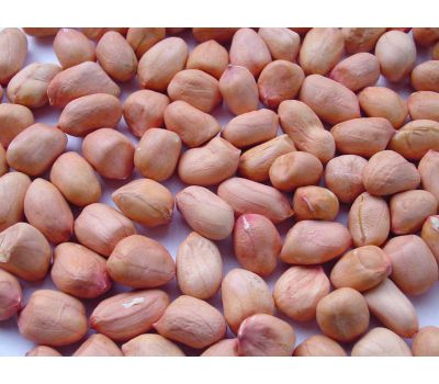 Dầu phộng NC chai 1 lít