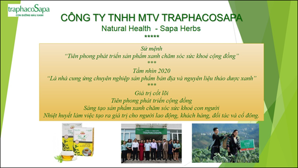 Trà Dây leo Sapa 100G/200G