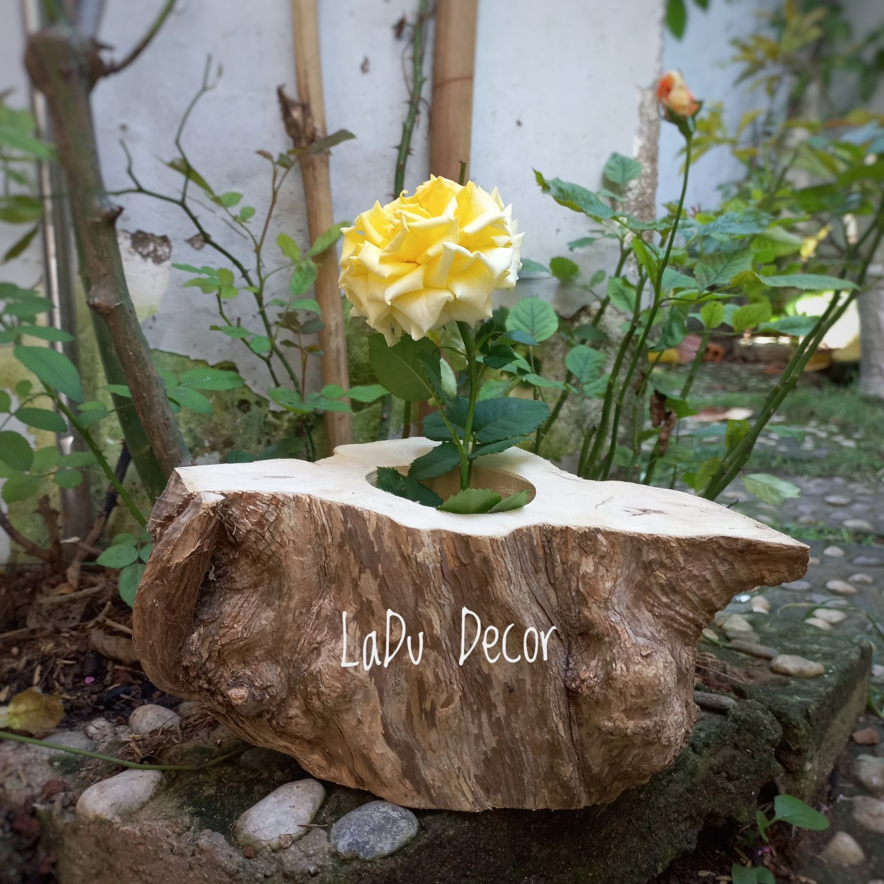 Chậu Bằng Gỗ Cây Cà Phê