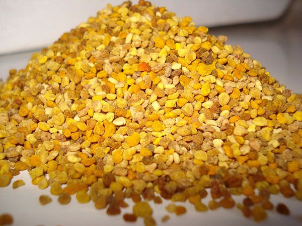 1kg phấn hoa rừng tây bắc