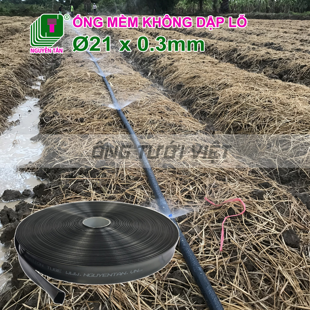 180m Ống dây tưới mềm Nguyễn Tân phi 21