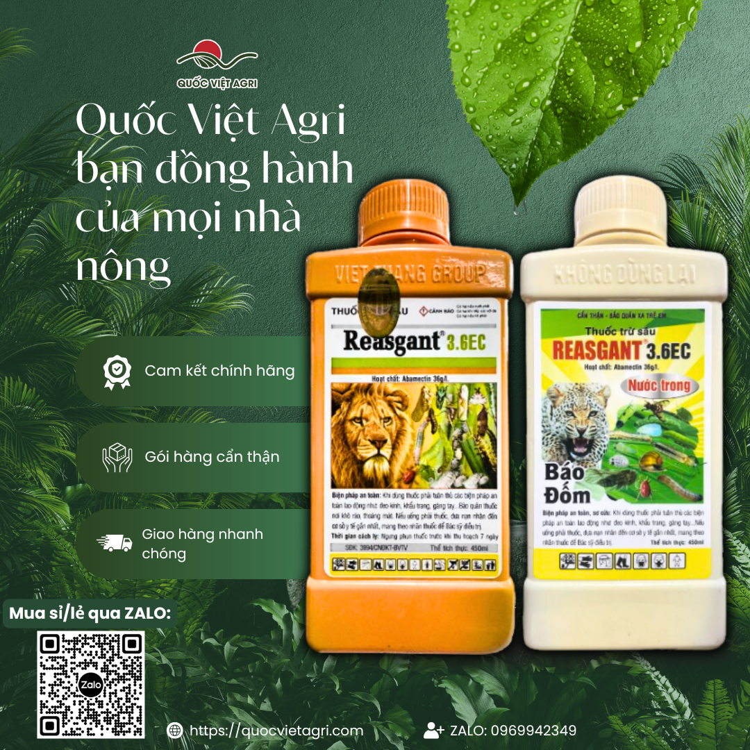 Thuốc trừ sâu REASGANT 3.6EC (chai 450ml) - Abamectin 36g/l Trừ bọ trĩ, rầy nâu, sâu xanh