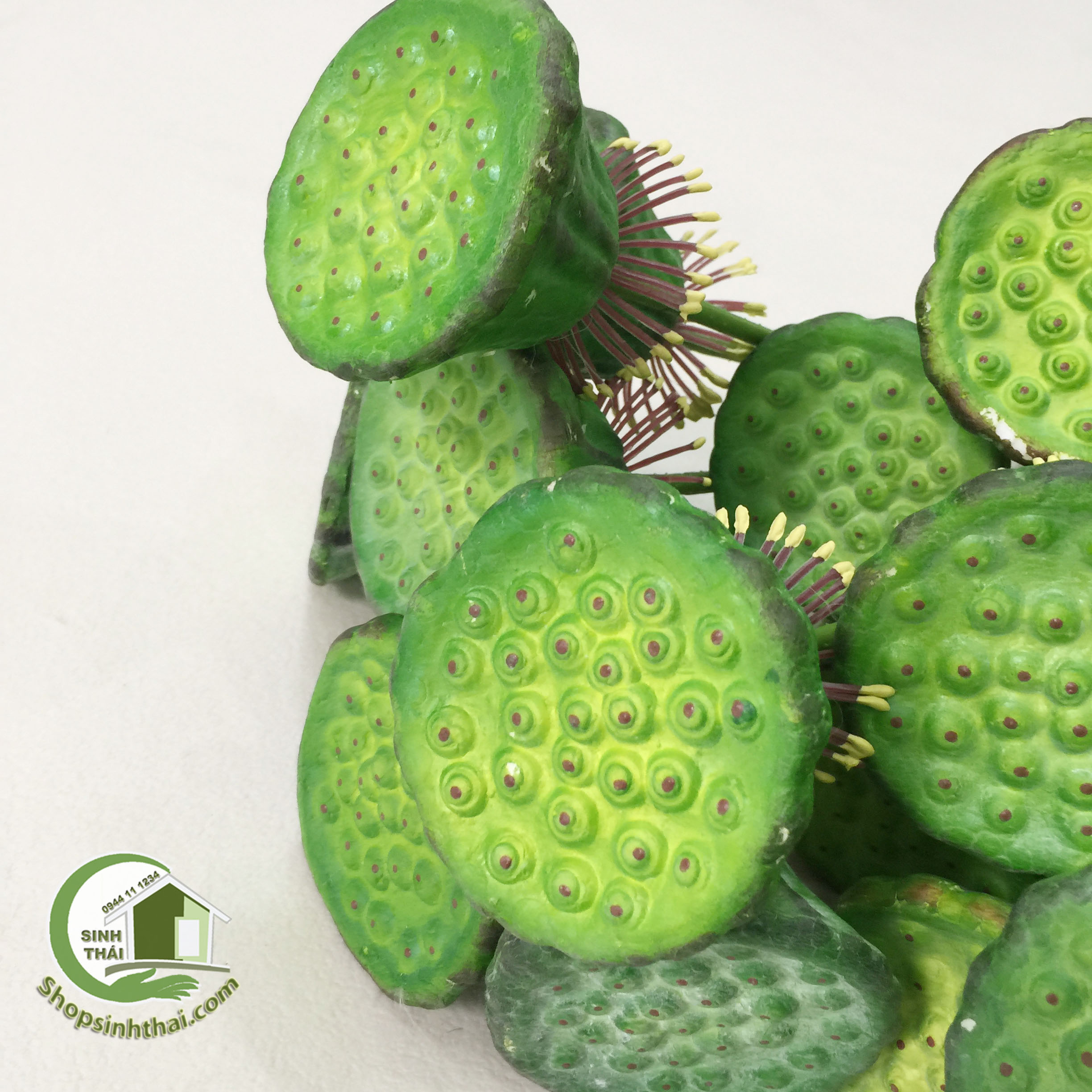[HCM]Gương sen giả - gương sen cao cấp