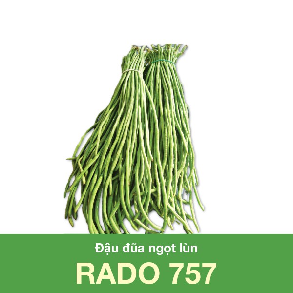 Hạt Giống Đậu Đũa Ngọt Lùn 20 Gram
