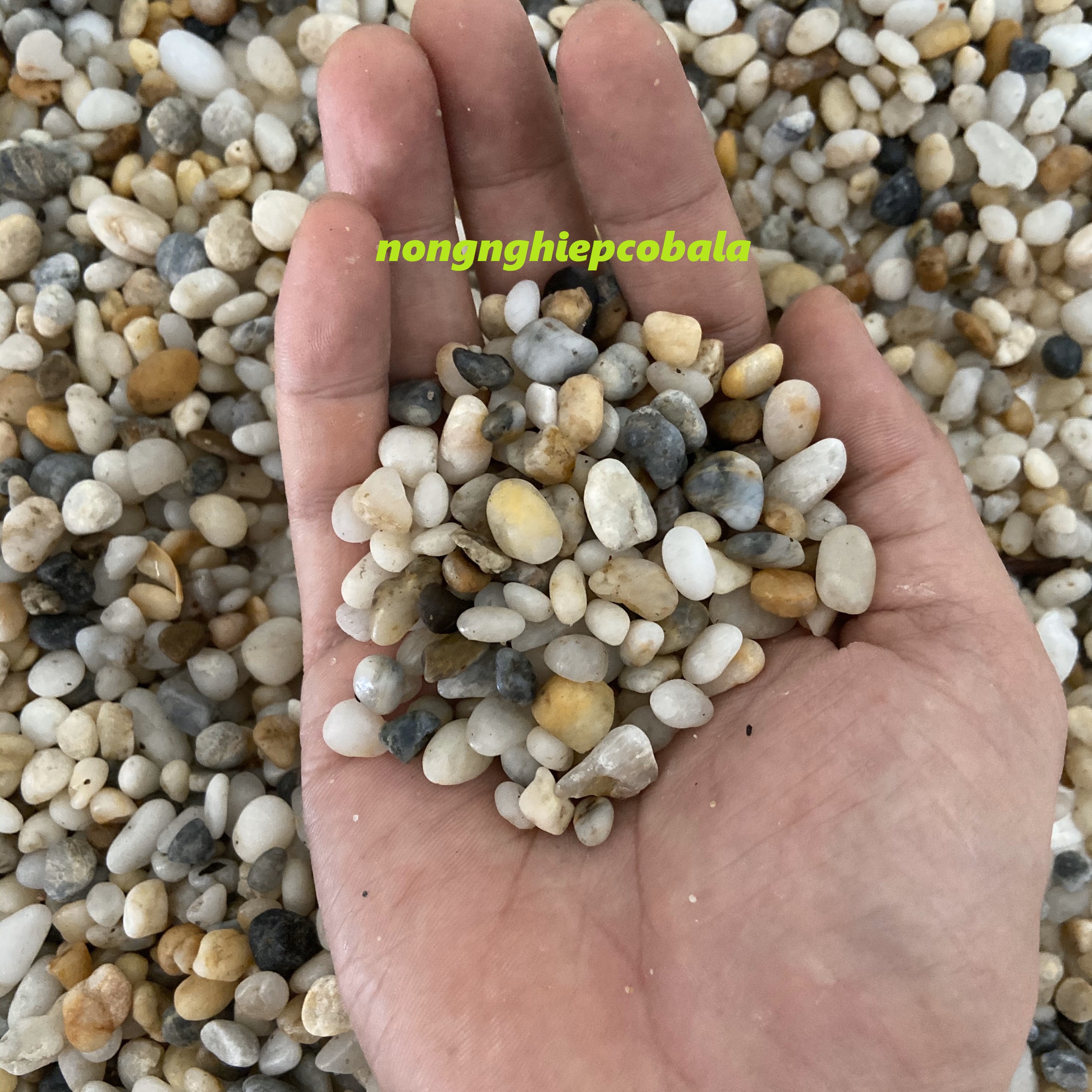 [HCM]Sỏi Nhiều Màu Size 10-15 mm Trang Trí Tiểu Cảnh Chậu Cây Hồ Cá 500gr
