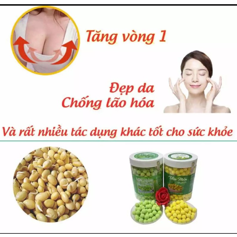 Quả dành dành khô thơm giúp tạo màu mùi tự nhiên món ăn nước uống (Thanh nhiệt, mát gan)