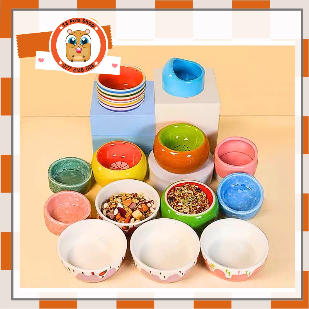 Chén sứ nhỏ hình kiwi , cam , dưa hấu, vòm cho hamster