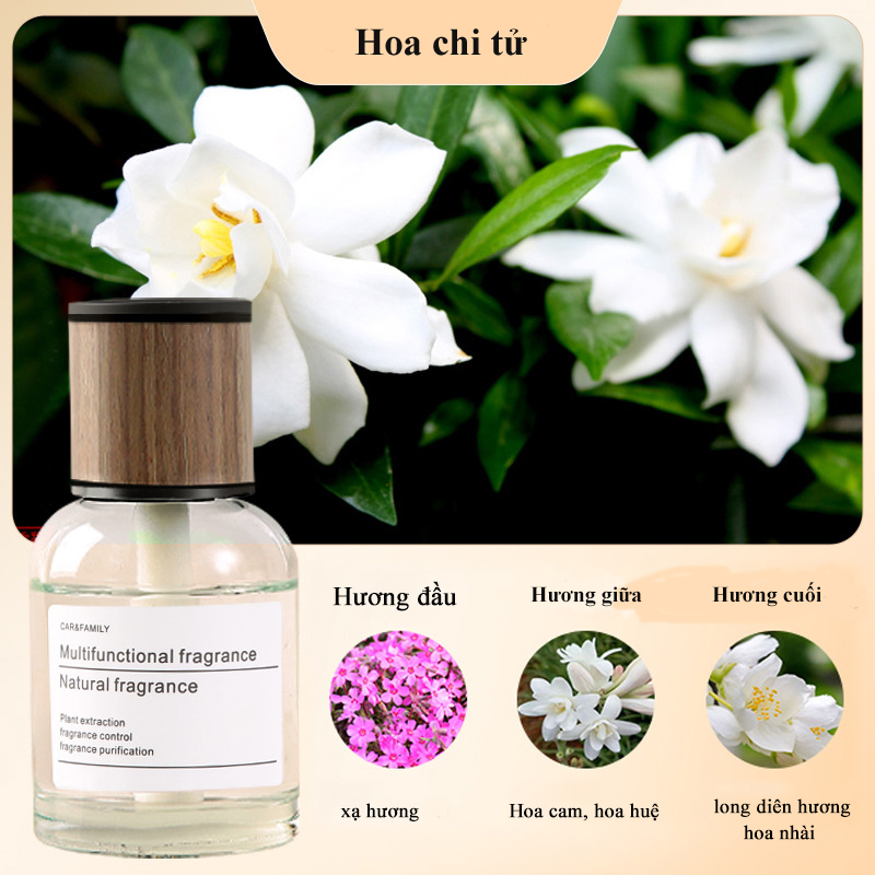 Dầu thơm ô tô Nước hoa khử mùi ô tô Dầu thơm xông phòng Nước hoa ô tô cao cấp Nước hoa khuyếch tán khử mùi ô tô