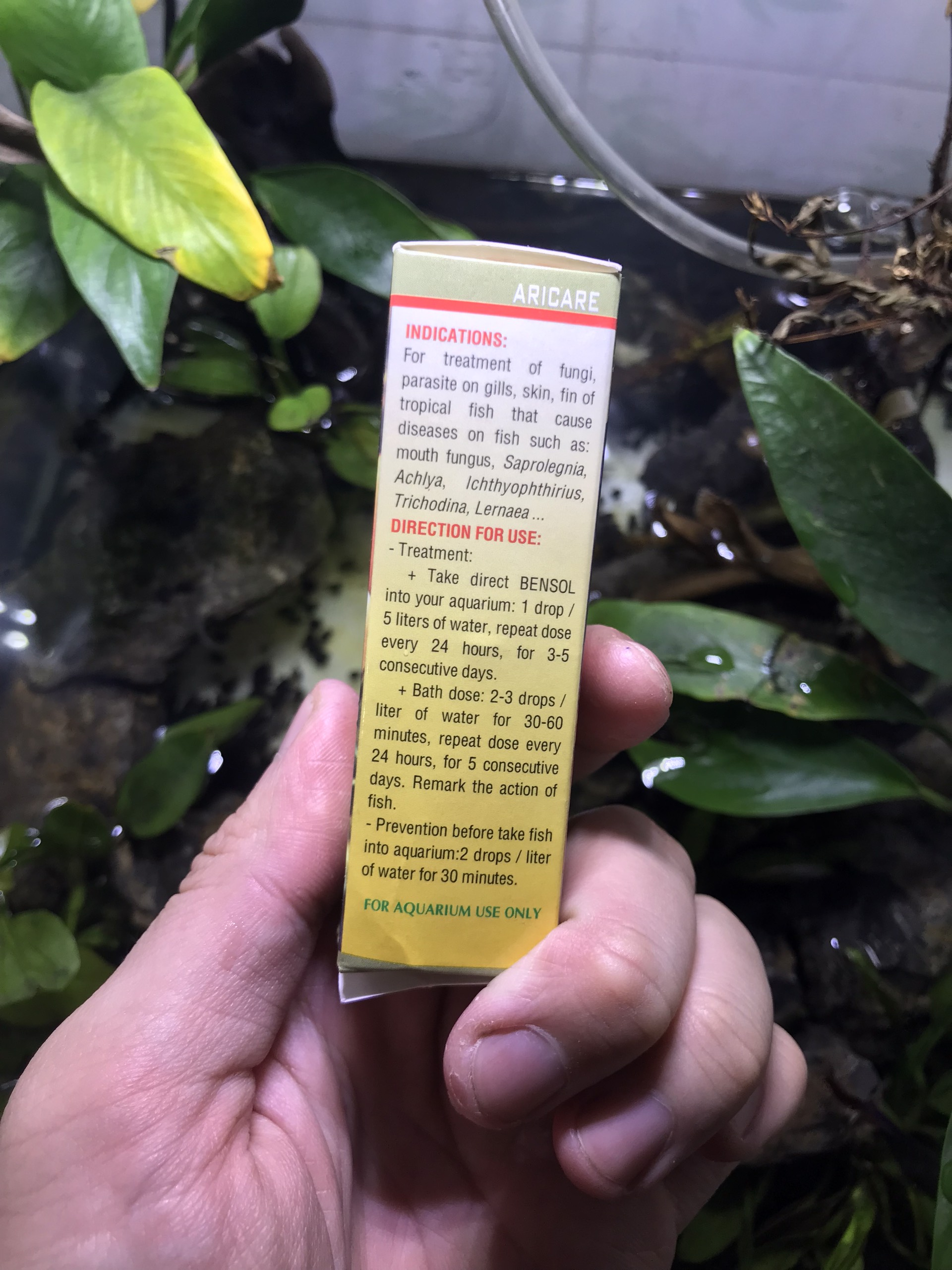 Thuốc trị bệnh, phòng bệnh cho cá cảnh
