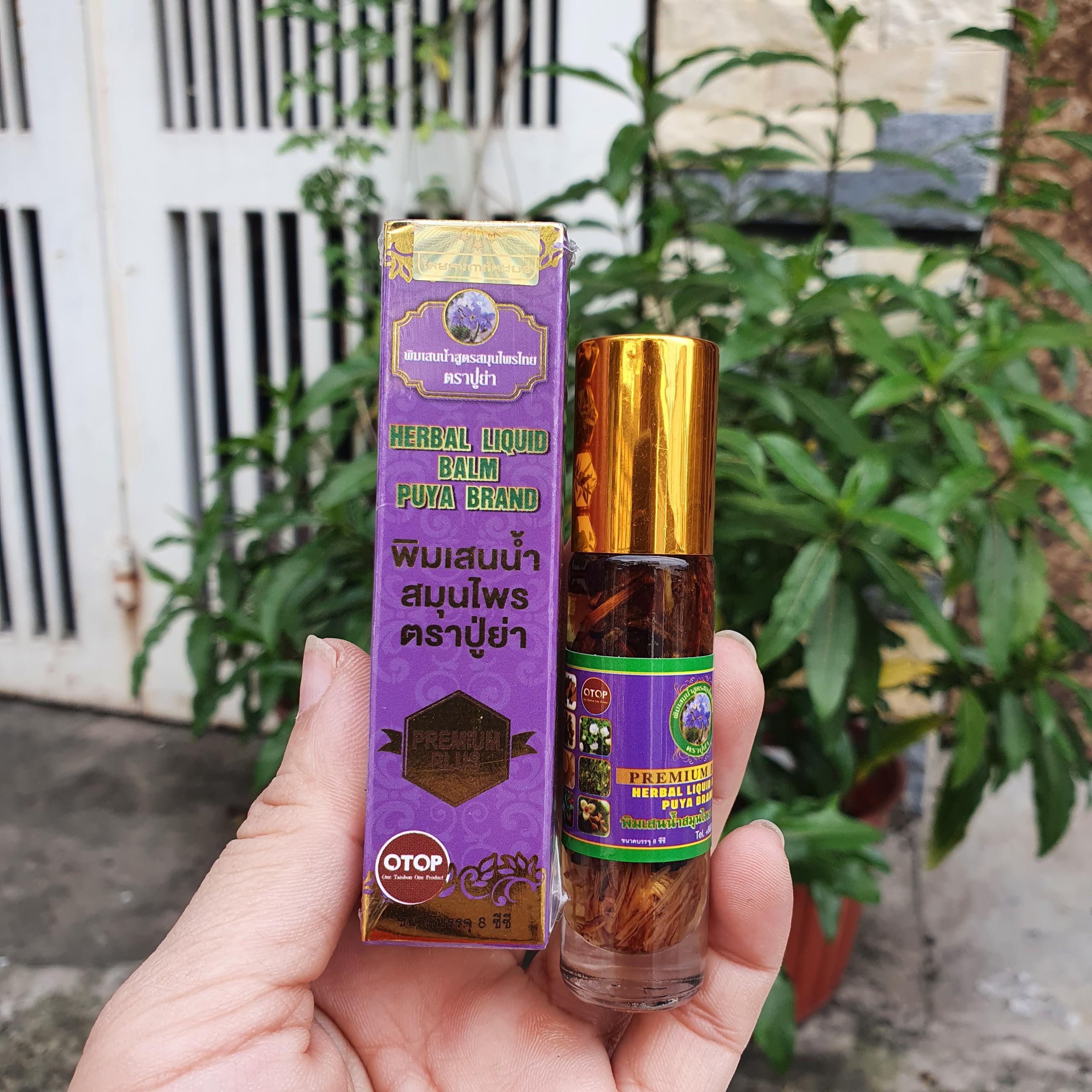 Bộ 12 chai dầu lăn thảo dược 19 vị thái lan