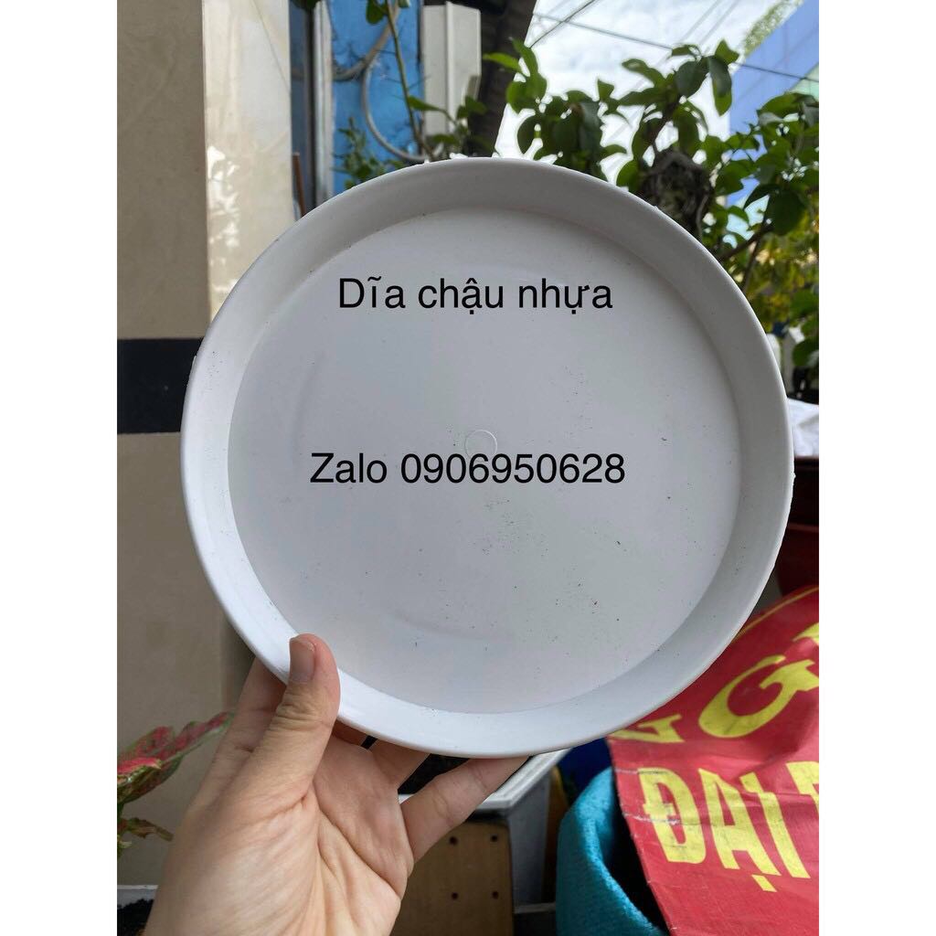 Chậu nhựa cao sọc gân có 2 size (có dĩa lót)