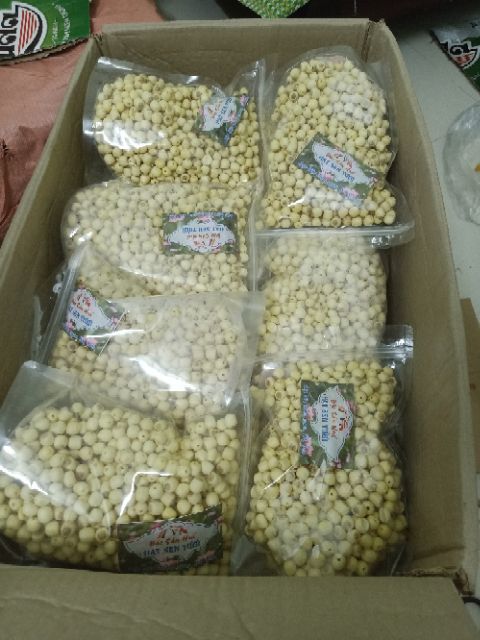 Hạt sen Huế hạt tươi 1kg