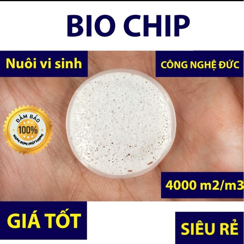 Bio chip 100g