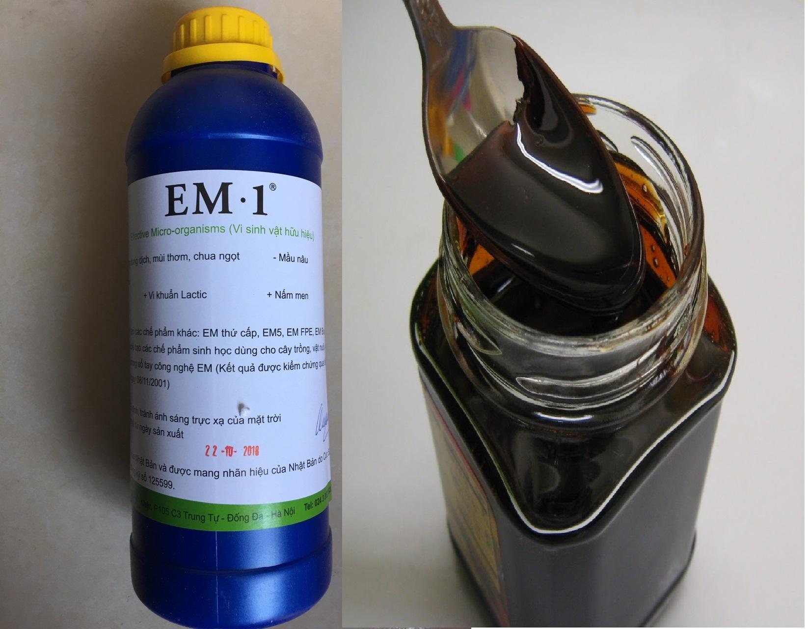 Combo chế phẩm EM gốc EM gốc chai 1L và 1 lít rỉ mật đường thuận tiện cho tạo EM thứ cấp